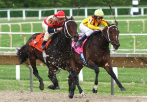 Horse racing at Arlington Park 2007